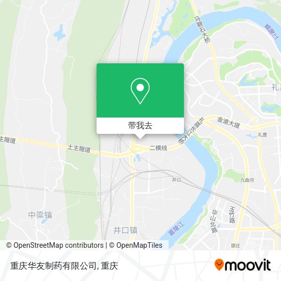 重庆华友制药有限公司地图
