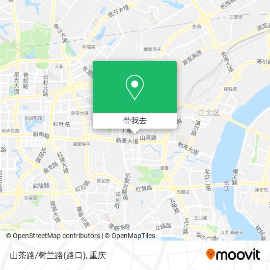山茶路/树兰路(路口)地图