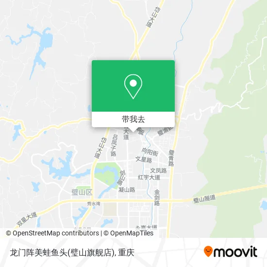 龙门阵美蛙鱼头(璧山旗舰店)地图