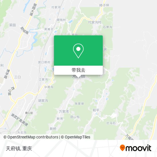天府镇地图