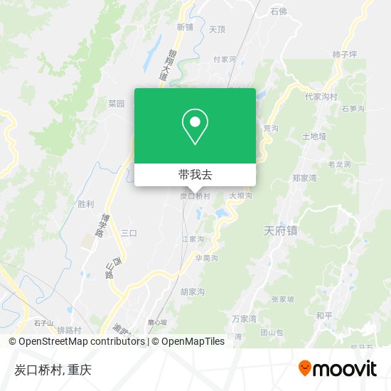 炭口桥村地图