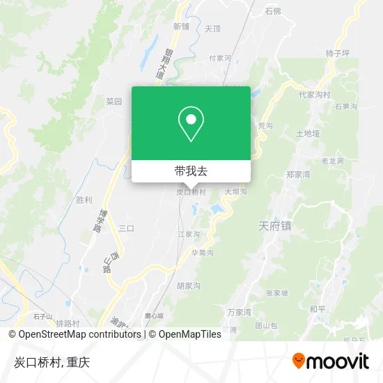 炭口桥村地图