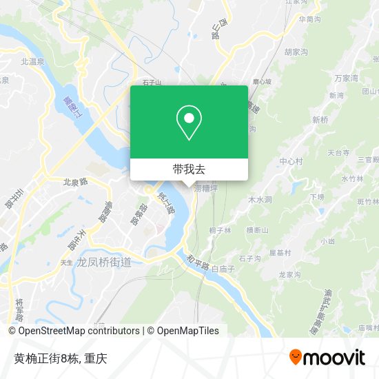 黄桷正街8栋地图