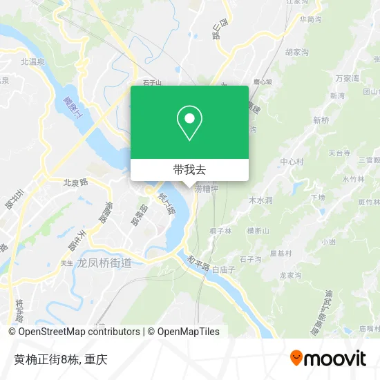 黄桷正街8栋地图