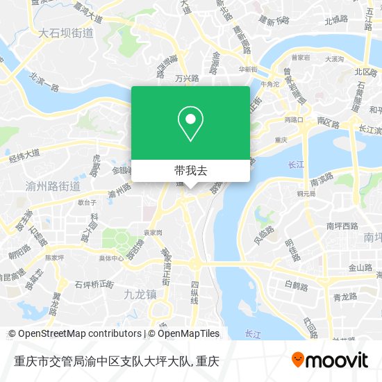 重庆市交管局渝中区支队大坪大队地图