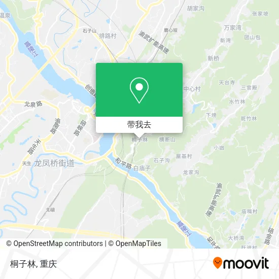桐子林地图