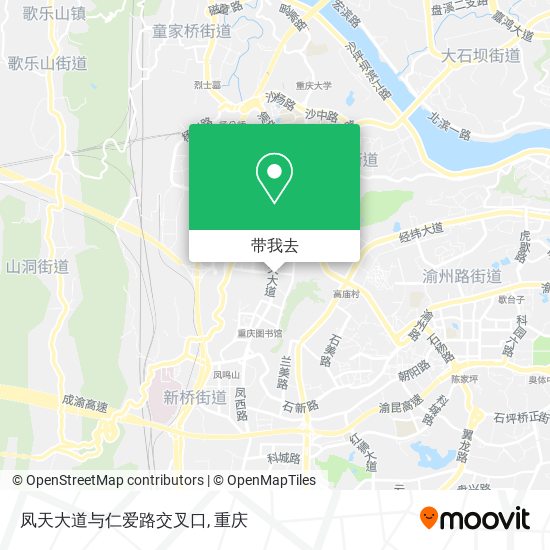 凤天大道与仁爱路交叉口地图