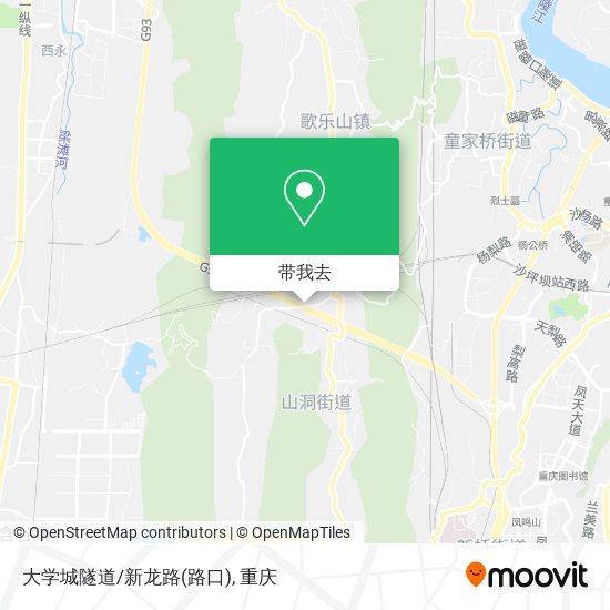大学城隧道/新龙路(路口)地图