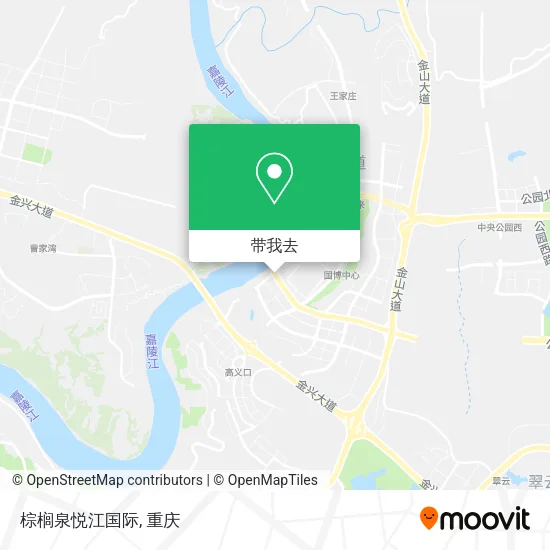 棕榈泉悦江国际地图