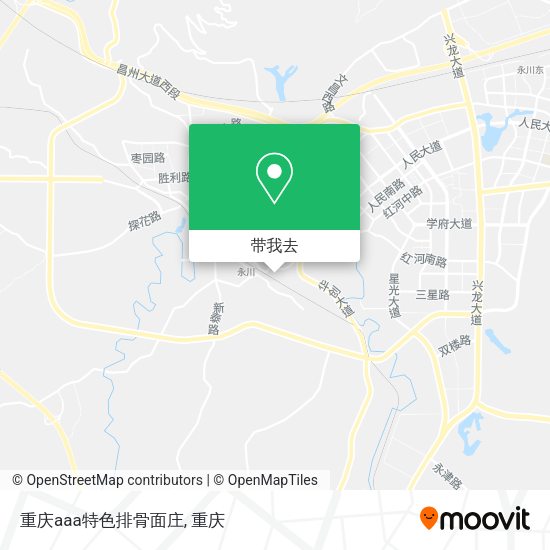 重庆aaa特色排骨面庄地图