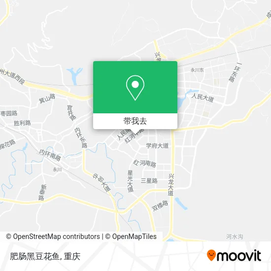 肥肠黑豆花鱼地图