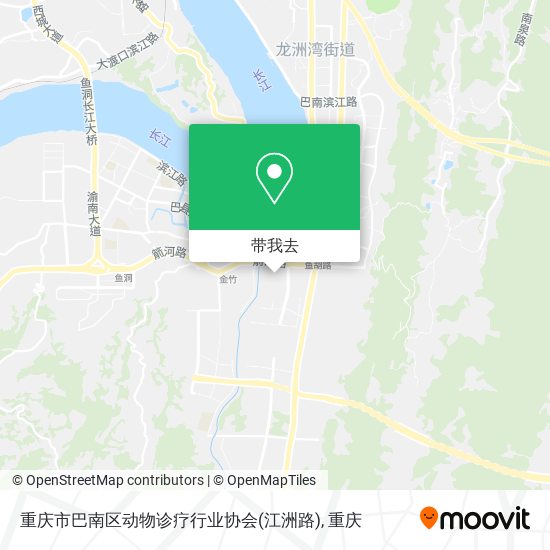 重庆市巴南区动物诊疗行业协会(江洲路)地图