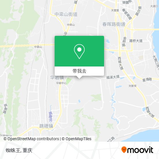 蜘蛛王地图