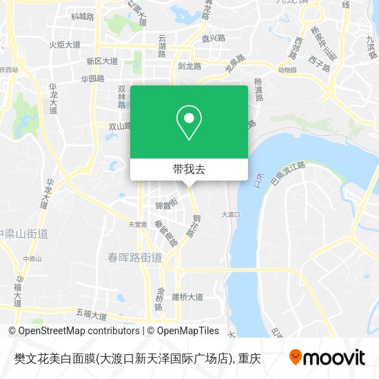 樊文花美白面膜(大渡口新天泽国际广场店)地图