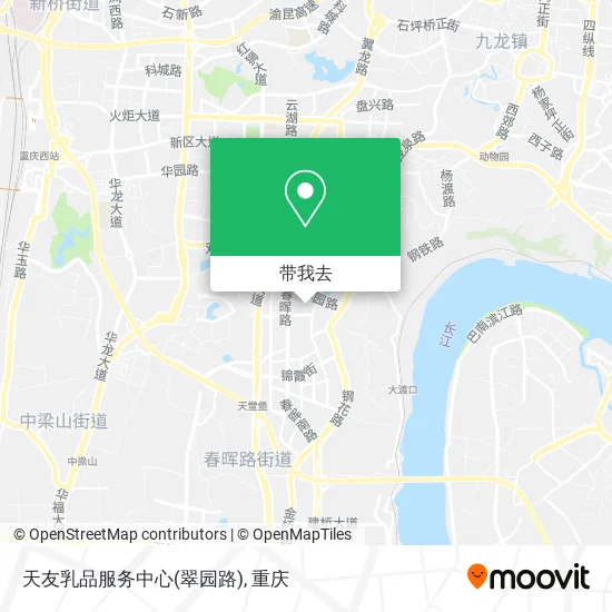 天友乳品服务中心(翠园路)地图