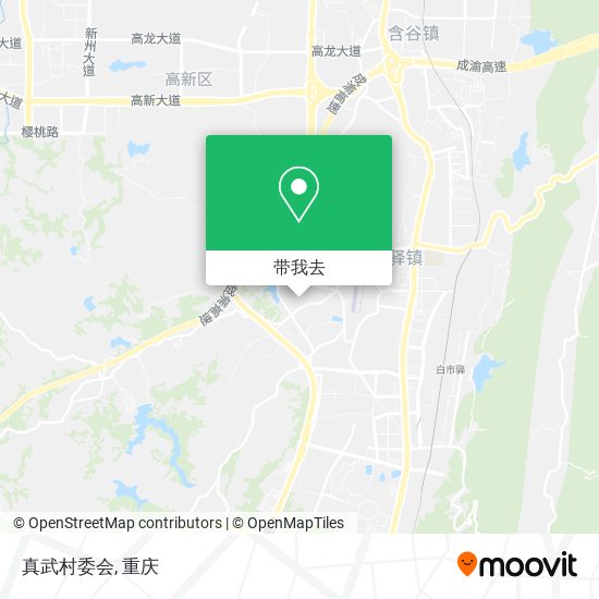 真武村委会地图