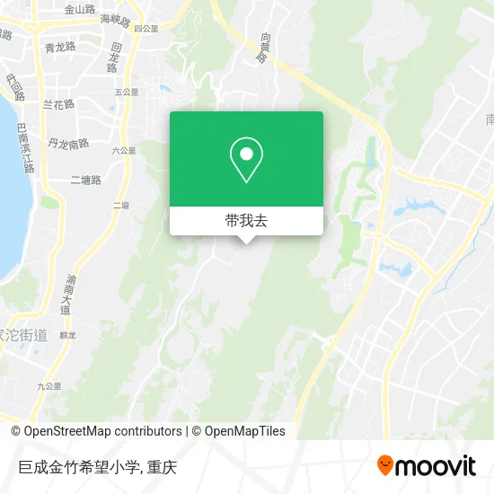 巨成金竹希望小学地图