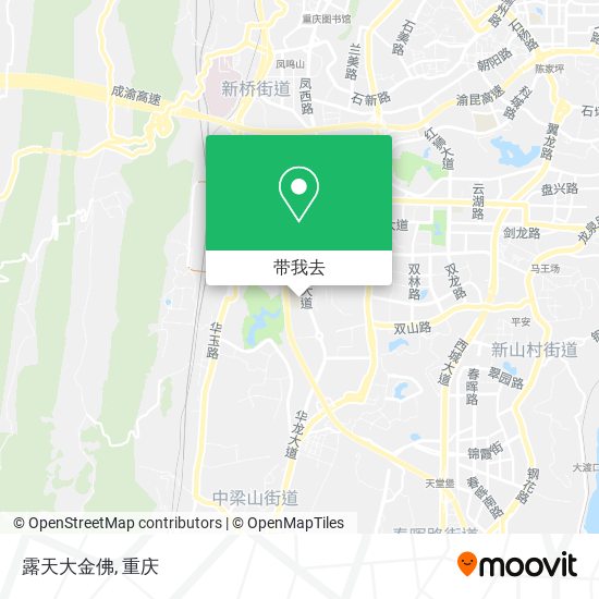 露天大金佛地图