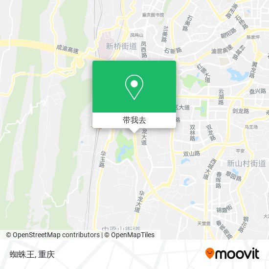 蜘蛛王地图