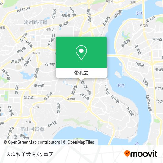 边境牧羊犬专卖地图