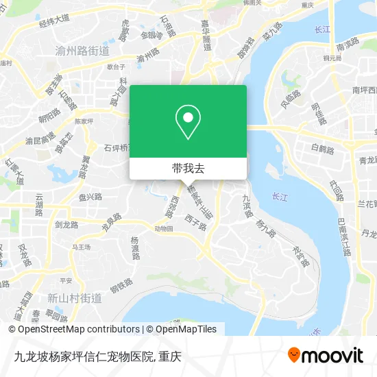 九龙坡杨家坪信仁宠物医院地图