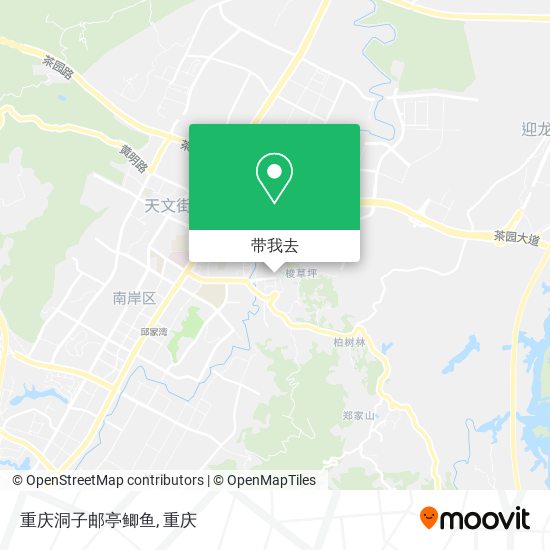 重庆洞子邮亭鲫鱼地图
