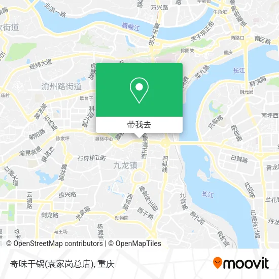 奇味干锅(袁家岗总店)地图
