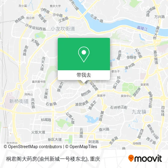 桐君阁大药房(渝州新城一号楼东北)地图