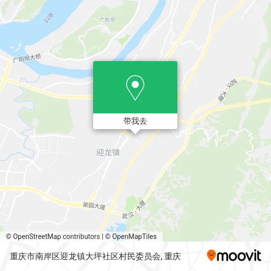 重庆市南岸区迎龙镇大坪社区村民委员会地图