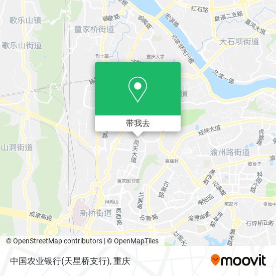中国农业银行(天星桥支行)地图