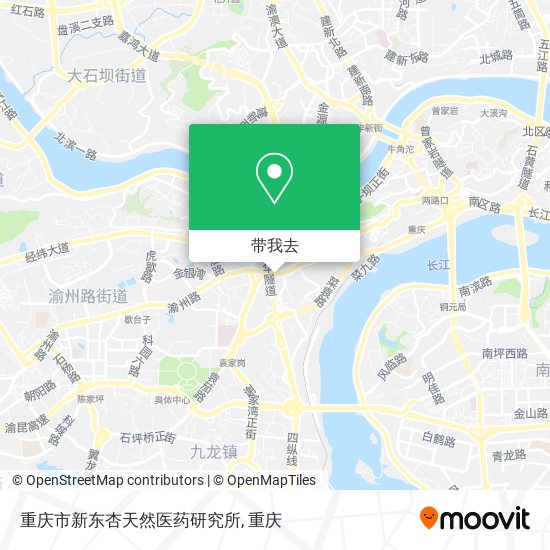 重庆市新东杏天然医药研究所地图