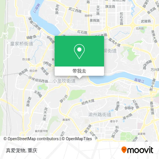真爱宠物地图