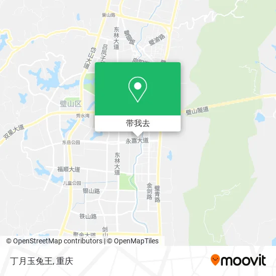 丁月玉兔王地图