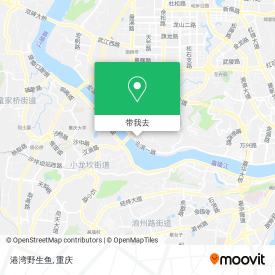 港湾野生鱼地图