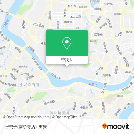 张鸭子(南桥寺店)地图