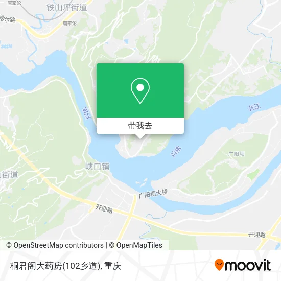 桐君阁大药房(102乡道)地图