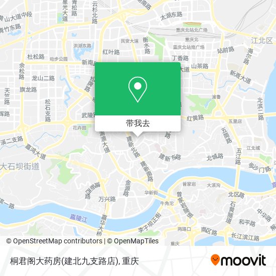 桐君阁大药房(建北九支路店)地图