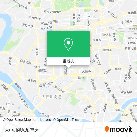 天e动物诊所地图