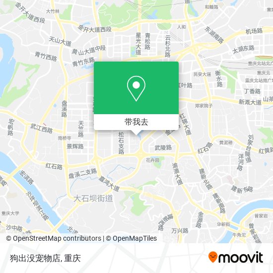狗出没宠物店地图