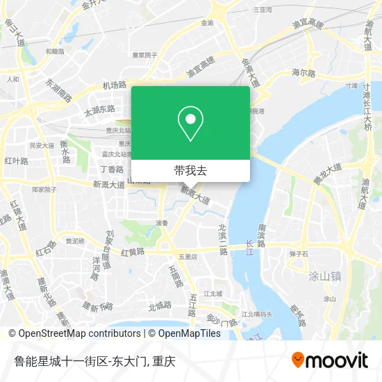 鲁能星城十一街区-东大门地图