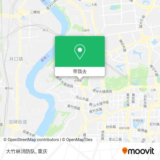 大竹林消防队地图