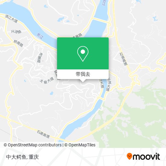 中大鳄鱼地图