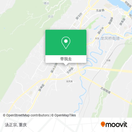 汤正宗地图