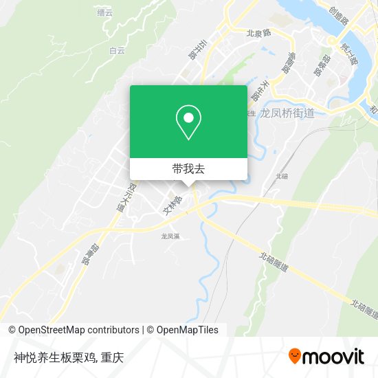 神悦养生板栗鸡地图