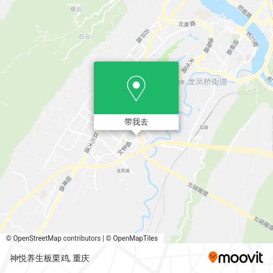 神悦养生板栗鸡地图