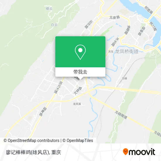 廖记棒棒鸡(雄风店)地图