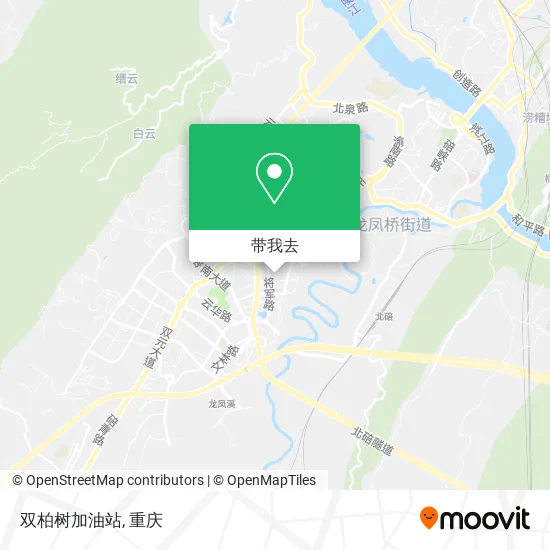 双柏树加油站地图