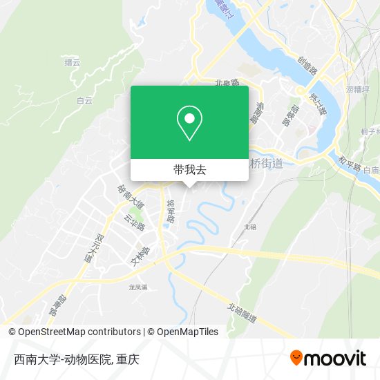 西南大学-动物医院地图