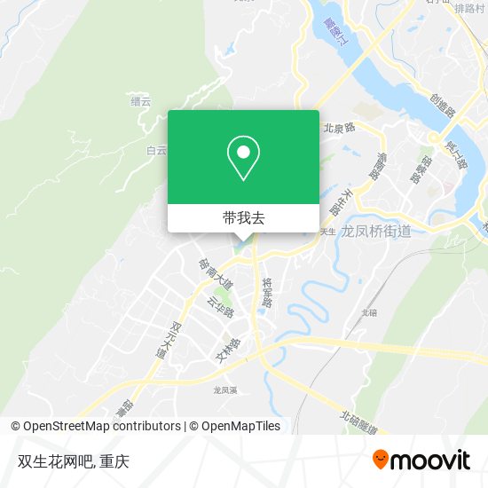 双生花网吧地图