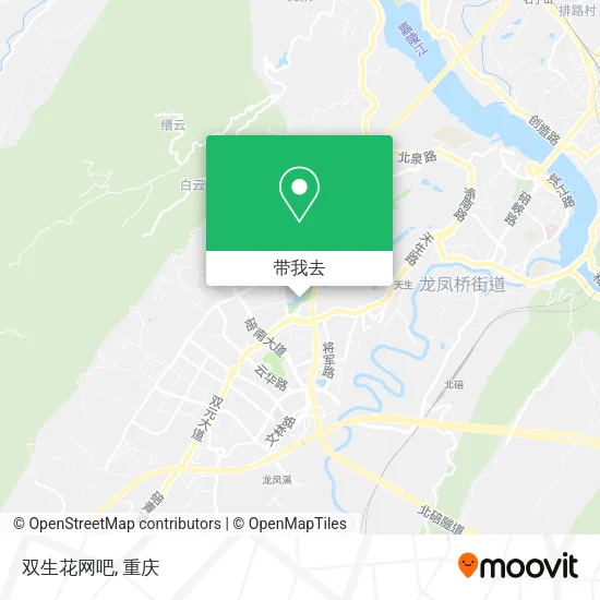 双生花网吧地图